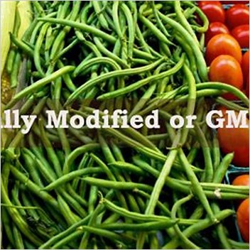 Genetically Modified Food Definition