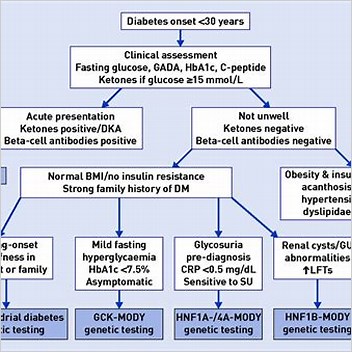 Mody 5 Renal Cysts And Diabetes Syndrome